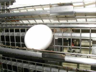 Greenwing Egg